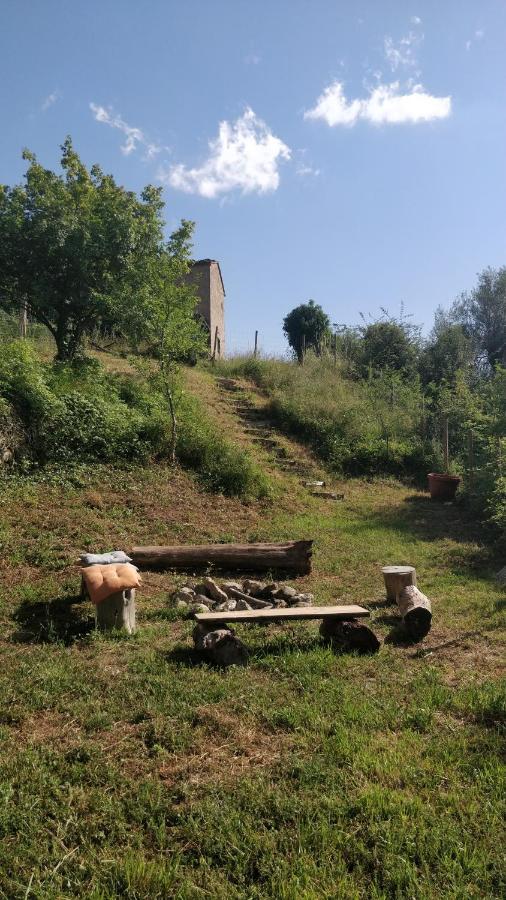 Podere Cerrete - Holiday Farmhouse Castel del Piano  Eksteriør billede